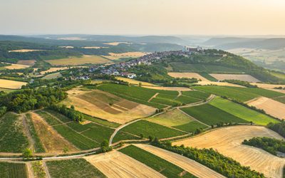 Chablis: Constant and Comforting