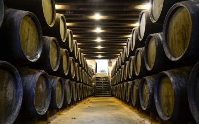 Distilling Excellence: Demystifying the Great Brandies of Cognac, Armagnac, and Brandy de Jerez