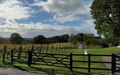 English Wine? Brilliant! In More Ways Than One