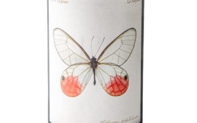 Marta-Valpiani-Farfalla-2022-Sangiovese