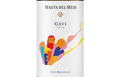 Tenuta-del-Melo-2022-Gavi