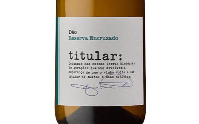 Titular-Encruzado-Reserva-Dao-2021wo