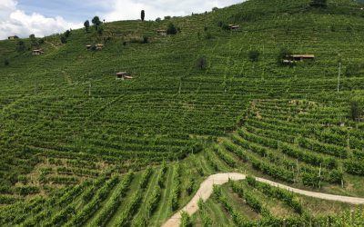 The Right Time to Taste “The Good Stuff,” Prosecco Superiore DOCG…