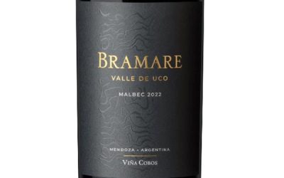 Vina-Cobos-Bramare-2022-Malbec-Valle-de-Uco