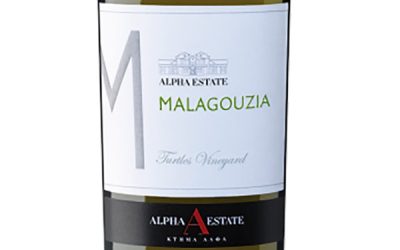 Alpha-Estate-Malagouzia-Turtles-Vineyard-2023