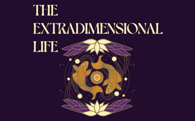 Tasting the Wine-Space Continuum through Extradimensional Wines