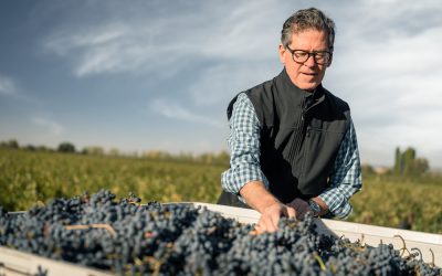 Paul Hobbs and the Case of the Hidden Malbec