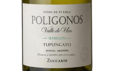 Zuccardi-Poligonos-Semillon-2022