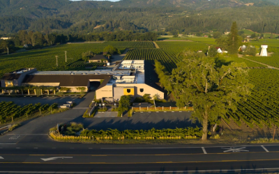 Real People, Authentic Wine: Napa without the Caviar at Whitehall Lane